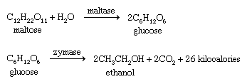 Ticari Olarak Önemli Alkoller 3 – Alcohol Compounds Formula maltose fermentation ethanol